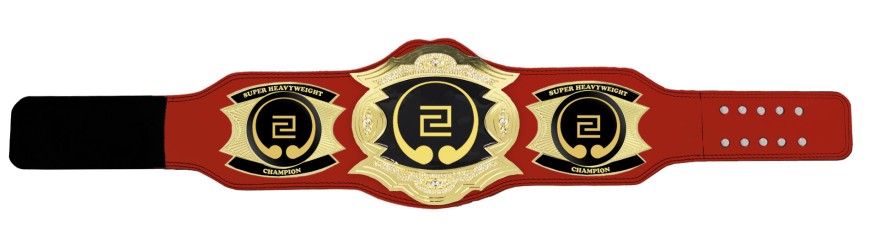 PROGEM GOLD CHAMPIONSHIP BELT - PROGEM/G/CUSTOM ***BEST SELLER***